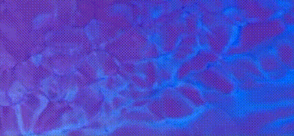 2023-11-02 123913.gif